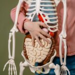 La symbolique des organes | Par Oriane Marie